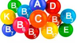 La Berenjena de Almagro es fuente natural de vitamina C y B2